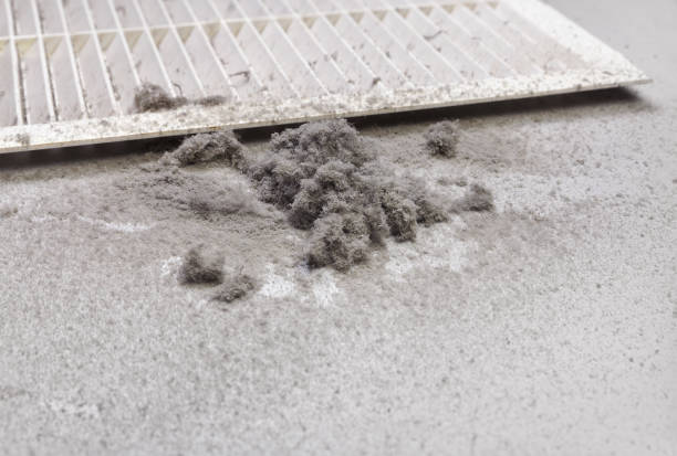 Best Air Duct Cleaning Company Near Me  in Taylorsville, MS