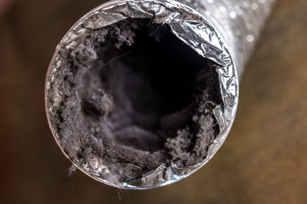 Best Ventilation Cleaning Services  in Taylorsville, MS