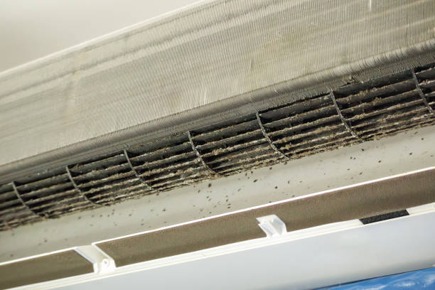 Best Home Air Vent Cleaning  in Taylorsville, MS